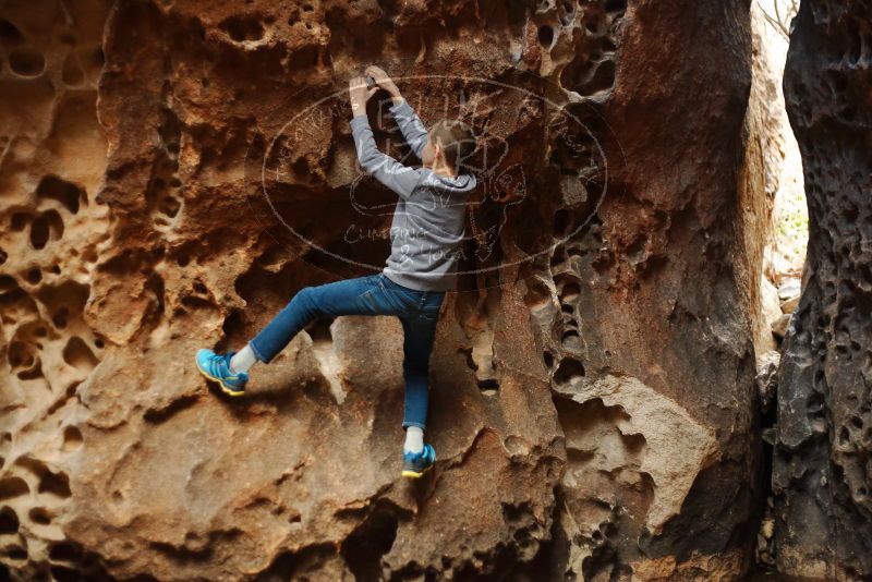 Bouldering in Hueco Tanks on 12/27/2019 with Blue Lizard Climbing and Yoga

Filename: SRM_20191227_1605290.jpg
Aperture: f/2.0
Shutter Speed: 1/200
Body: Canon EOS-1D Mark II
Lens: Canon EF 50mm f/1.8 II