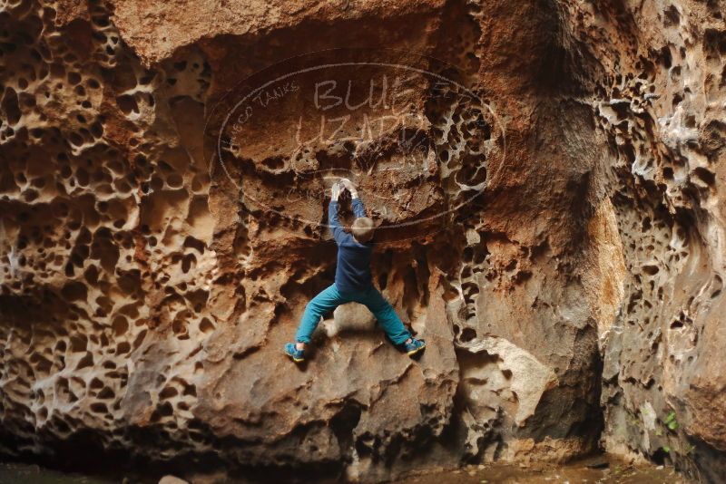 Bouldering in Hueco Tanks on 12/27/2019 with Blue Lizard Climbing and Yoga

Filename: SRM_20191227_1606390.jpg
Aperture: f/2.0
Shutter Speed: 1/200
Body: Canon EOS-1D Mark II
Lens: Canon EF 50mm f/1.8 II