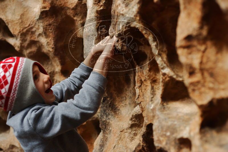 Bouldering in Hueco Tanks on 12/27/2019 with Blue Lizard Climbing and Yoga

Filename: SRM_20191227_1607350.jpg
Aperture: f/3.2
Shutter Speed: 1/200
Body: Canon EOS-1D Mark II
Lens: Canon EF 50mm f/1.8 II