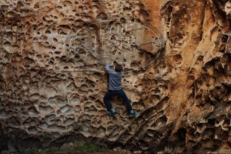 Bouldering in Hueco Tanks on 12/27/2019 with Blue Lizard Climbing and Yoga

Filename: SRM_20191227_1617160.jpg
Aperture: f/4.0
Shutter Speed: 1/160
Body: Canon EOS-1D Mark II
Lens: Canon EF 50mm f/1.8 II