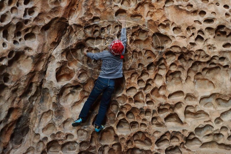 Bouldering in Hueco Tanks on 12/27/2019 with Blue Lizard Climbing and Yoga

Filename: SRM_20191227_1618350.jpg
Aperture: f/3.5
Shutter Speed: 1/160
Body: Canon EOS-1D Mark II
Lens: Canon EF 50mm f/1.8 II