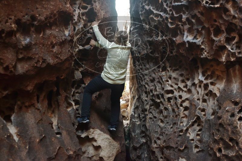 Bouldering in Hueco Tanks on 12/27/2019 with Blue Lizard Climbing and Yoga

Filename: SRM_20191227_1625030.jpg
Aperture: f/2.8
Shutter Speed: 1/160
Body: Canon EOS-1D Mark II
Lens: Canon EF 50mm f/1.8 II