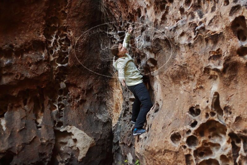 Bouldering in Hueco Tanks on 12/27/2019 with Blue Lizard Climbing and Yoga

Filename: SRM_20191227_1625300.jpg
Aperture: f/2.5
Shutter Speed: 1/160
Body: Canon EOS-1D Mark II
Lens: Canon EF 50mm f/1.8 II