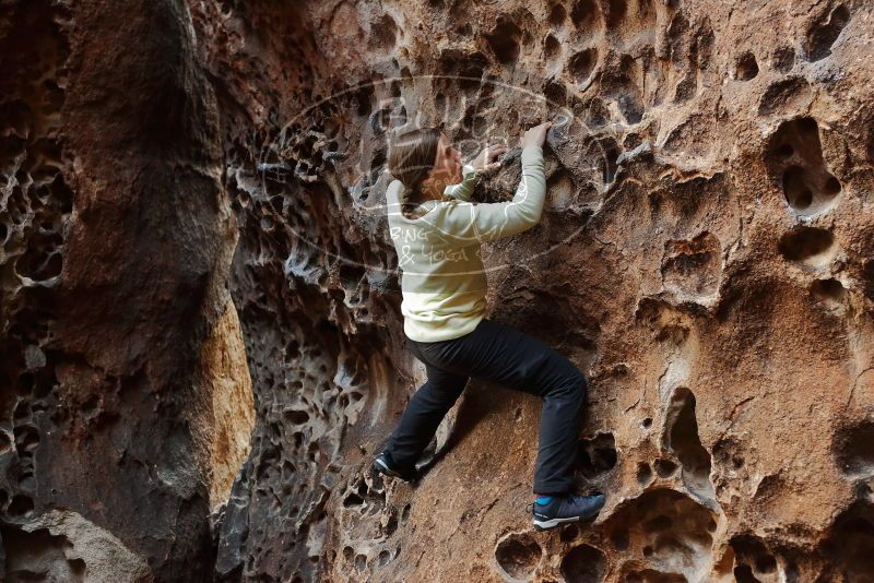 Bouldering in Hueco Tanks on 12/27/2019 with Blue Lizard Climbing and Yoga

Filename: SRM_20191227_1625520.jpg
Aperture: f/3.2
Shutter Speed: 1/125
Body: Canon EOS-1D Mark II
Lens: Canon EF 50mm f/1.8 II