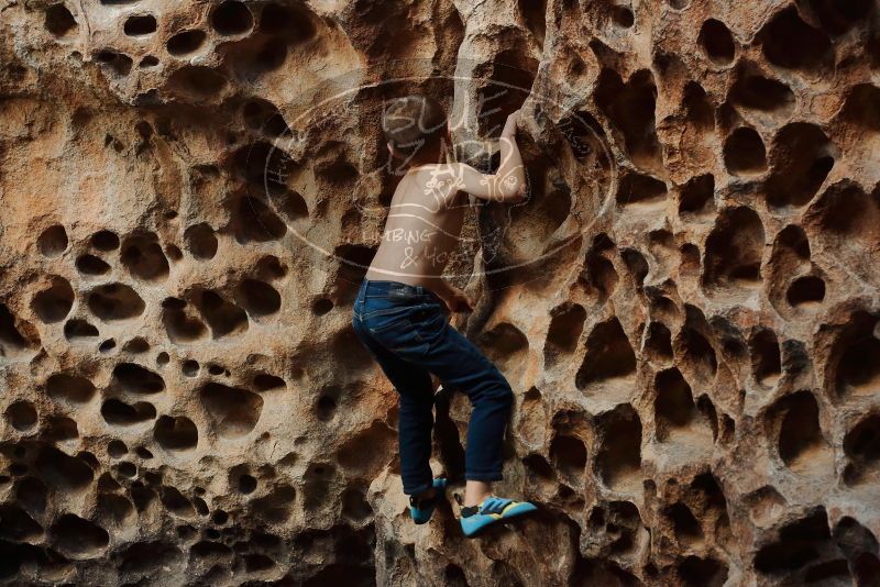 Bouldering in Hueco Tanks on 12/27/2019 with Blue Lizard Climbing and Yoga

Filename: SRM_20191227_1626100.jpg
Aperture: f/4.5
Shutter Speed: 1/125
Body: Canon EOS-1D Mark II
Lens: Canon EF 50mm f/1.8 II