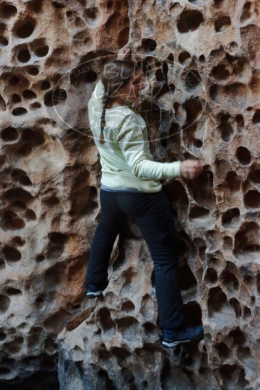 Bouldering in Hueco Tanks on 12/27/2019 with Blue Lizard Climbing and Yoga

Filename: SRM_20191227_1627060.jpg
Aperture: f/3.2
Shutter Speed: 1/125
Body: Canon EOS-1D Mark II
Lens: Canon EF 50mm f/1.8 II