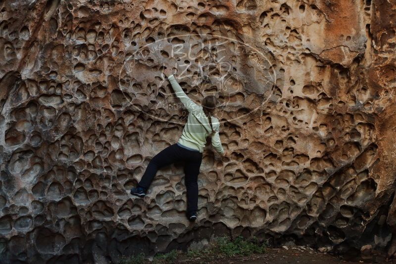 Bouldering in Hueco Tanks on 12/27/2019 with Blue Lizard Climbing and Yoga

Filename: SRM_20191227_1627460.jpg
Aperture: f/4.0
Shutter Speed: 1/125
Body: Canon EOS-1D Mark II
Lens: Canon EF 50mm f/1.8 II