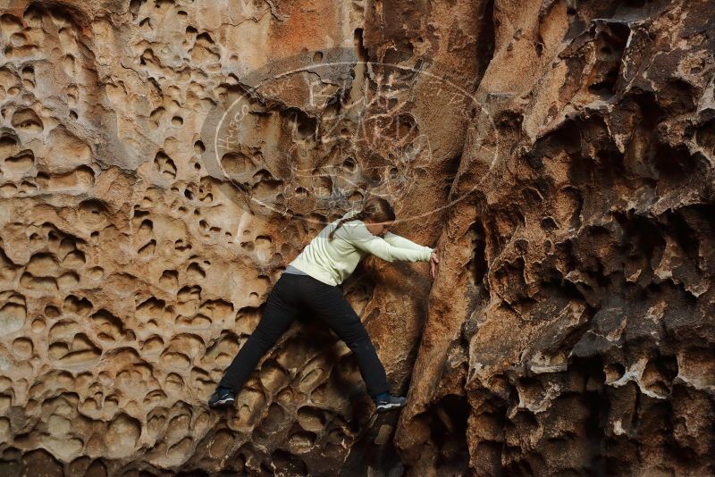 Bouldering in Hueco Tanks on 12/27/2019 with Blue Lizard Climbing and Yoga

Filename: SRM_20191227_1628340.jpg
Aperture: f/4.0
Shutter Speed: 1/125
Body: Canon EOS-1D Mark II
Lens: Canon EF 50mm f/1.8 II