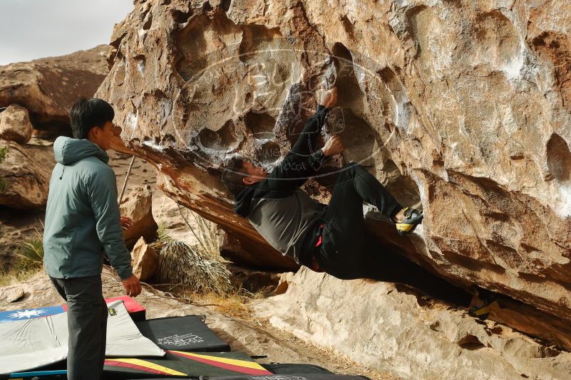 Bouldering in Hueco Tanks on 12/28/2019 with Blue Lizard Climbing and Yoga

Filename: SRM_20191228_1108590.jpg
Aperture: f/6.3
Shutter Speed: 1/250
Body: Canon EOS-1D Mark II
Lens: Canon EF 50mm f/1.8 II