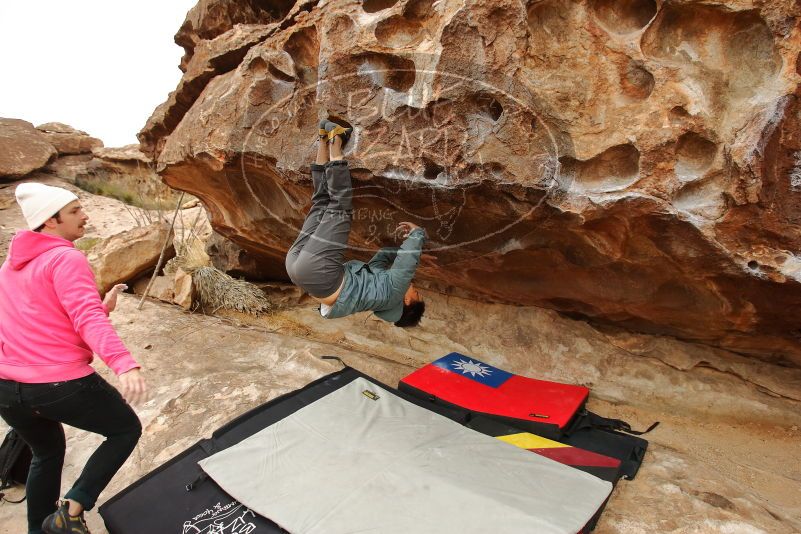Bouldering in Hueco Tanks on 12/28/2019 with Blue Lizard Climbing and Yoga

Filename: SRM_20191228_1126090.jpg
Aperture: f/4.5
Shutter Speed: 1/400
Body: Canon EOS-1D Mark II
Lens: Canon EF 16-35mm f/2.8 L