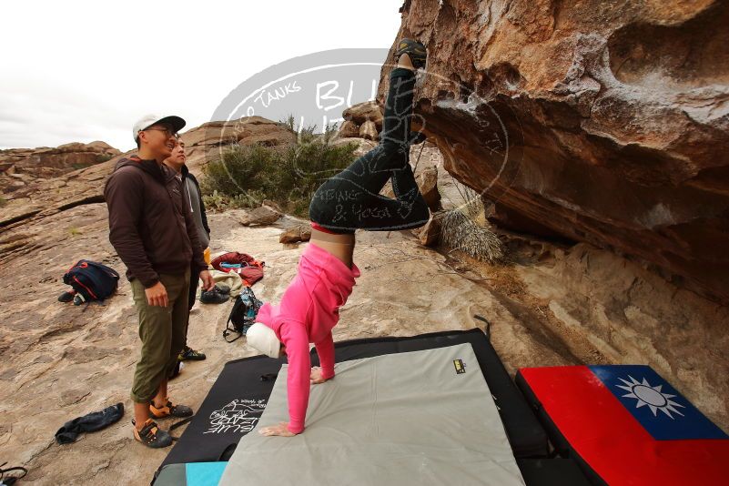 Bouldering in Hueco Tanks on 12/28/2019 with Blue Lizard Climbing and Yoga

Filename: SRM_20191228_1127050.jpg
Aperture: f/5.0
Shutter Speed: 1/400
Body: Canon EOS-1D Mark II
Lens: Canon EF 16-35mm f/2.8 L