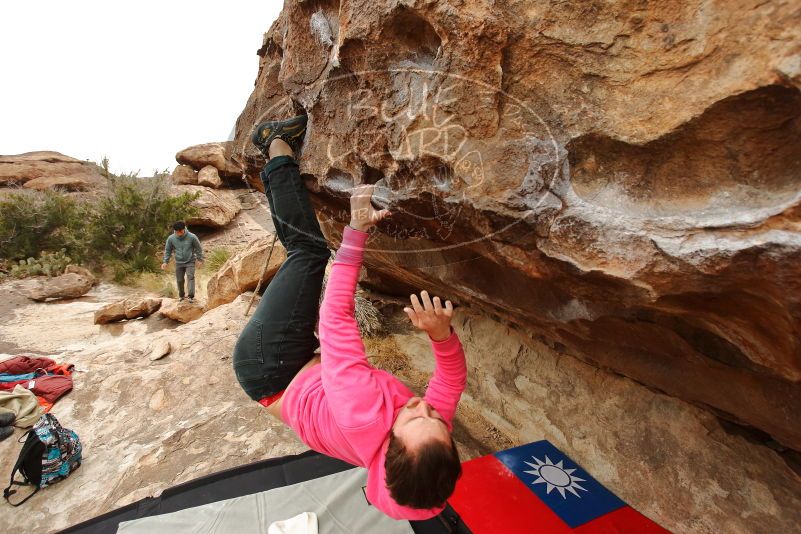 Bouldering in Hueco Tanks on 12/28/2019 with Blue Lizard Climbing and Yoga

Filename: SRM_20191228_1127290.jpg
Aperture: f/4.5
Shutter Speed: 1/400
Body: Canon EOS-1D Mark II
Lens: Canon EF 16-35mm f/2.8 L