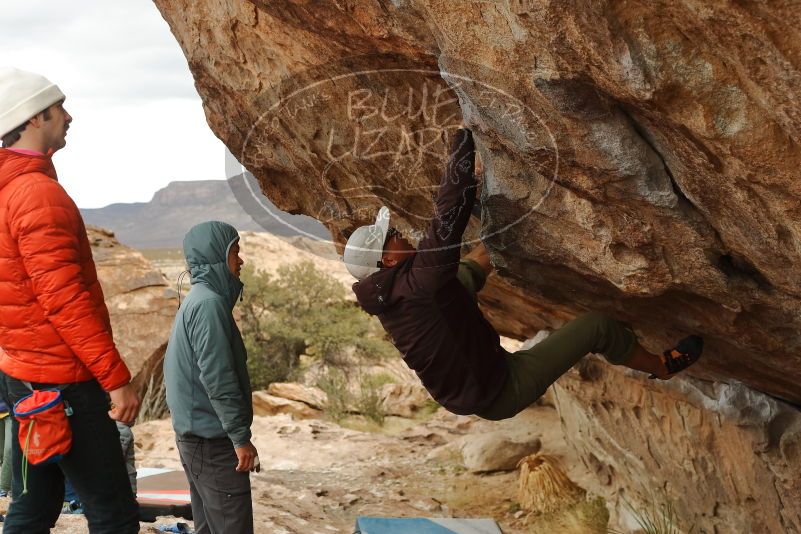 Bouldering in Hueco Tanks on 12/28/2019 with Blue Lizard Climbing and Yoga

Filename: SRM_20191228_1244480.jpg
Aperture: f/4.5
Shutter Speed: 1/400
Body: Canon EOS-1D Mark II
Lens: Canon EF 50mm f/1.8 II