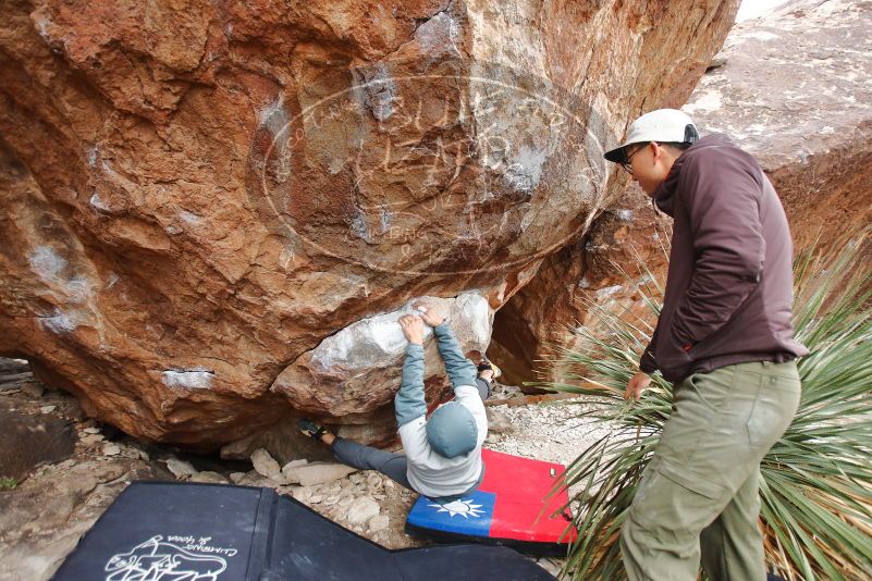 Bouldering in Hueco Tanks on 12/28/2019 with Blue Lizard Climbing and Yoga

Filename: SRM_20191228_1508000.jpg
Aperture: f/3.2
Shutter Speed: 1/250
Body: Canon EOS-1D Mark II
Lens: Canon EF 16-35mm f/2.8 L