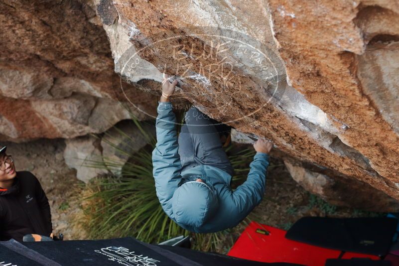 Bouldering in Hueco Tanks on 12/28/2019 with Blue Lizard Climbing and Yoga

Filename: SRM_20191228_1656310.jpg
Aperture: f/3.5
Shutter Speed: 1/250
Body: Canon EOS-1D Mark II
Lens: Canon EF 50mm f/1.8 II