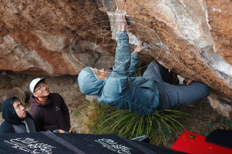 Bouldering in Hueco Tanks on 12/28/2019 with Blue Lizard Climbing and Yoga

Filename: SRM_20191228_1656390.jpg
Aperture: f/3.5
Shutter Speed: 1/250
Body: Canon EOS-1D Mark II
Lens: Canon EF 50mm f/1.8 II