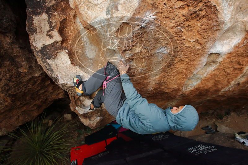 Bouldering in Hueco Tanks on 12/28/2019 with Blue Lizard Climbing and Yoga

Filename: SRM_20191228_1719390.jpg
Aperture: f/4.0
Shutter Speed: 1/250
Body: Canon EOS-1D Mark II
Lens: Canon EF 16-35mm f/2.8 L