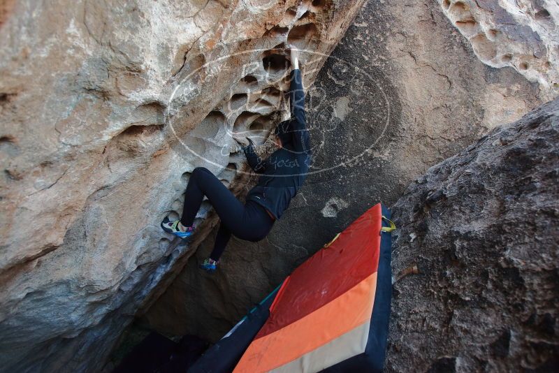 Bouldering in Hueco Tanks on 12/29/2019 with Blue Lizard Climbing and Yoga

Filename: SRM_20191229_1055310.jpg
Aperture: f/4.0
Shutter Speed: 1/250
Body: Canon EOS-1D Mark II
Lens: Canon EF 16-35mm f/2.8 L