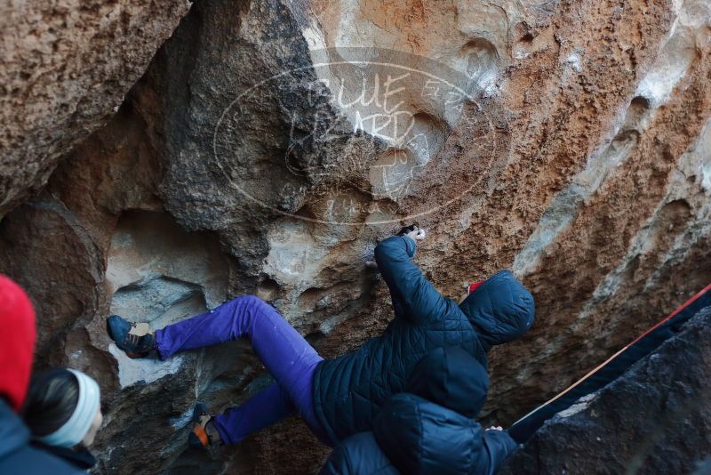 Bouldering in Hueco Tanks on 12/29/2019 with Blue Lizard Climbing and Yoga

Filename: SRM_20191229_1132540.jpg
Aperture: f/3.2
Shutter Speed: 1/250
Body: Canon EOS-1D Mark II
Lens: Canon EF 50mm f/1.8 II