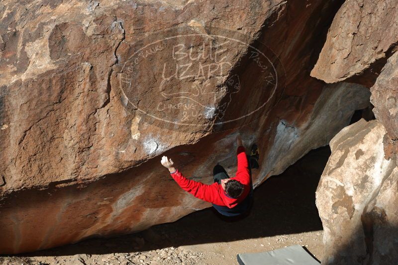 Bouldering in Hueco Tanks on 12/29/2019 with Blue Lizard Climbing and Yoga

Filename: SRM_20191229_1157000.jpg
Aperture: f/5.6
Shutter Speed: 1/250
Body: Canon EOS-1D Mark II
Lens: Canon EF 50mm f/1.8 II