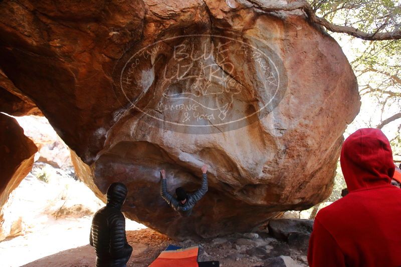 Bouldering in Hueco Tanks on 12/29/2019 with Blue Lizard Climbing and Yoga

Filename: SRM_20191229_1407400.jpg
Aperture: f/4.0
Shutter Speed: 1/320
Body: Canon EOS-1D Mark II
Lens: Canon EF 16-35mm f/2.8 L