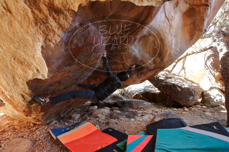 Bouldering in Hueco Tanks on 12/29/2019 with Blue Lizard Climbing and Yoga

Filename: SRM_20191229_1410510.jpg
Aperture: f/3.5
Shutter Speed: 1/250
Body: Canon EOS-1D Mark II
Lens: Canon EF 16-35mm f/2.8 L