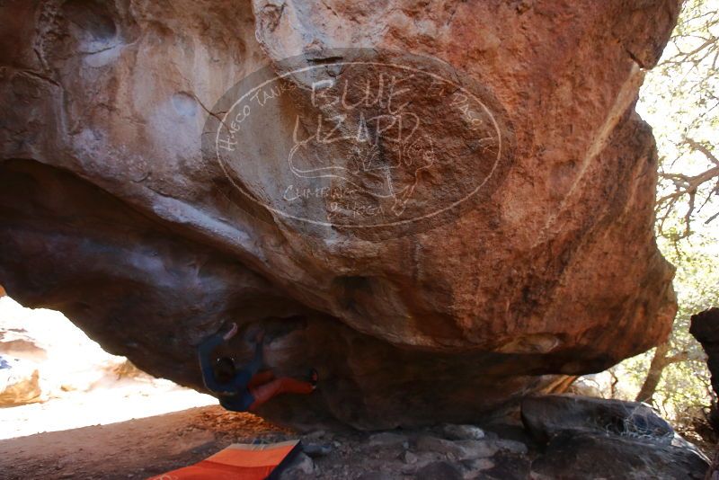 Bouldering in Hueco Tanks on 12/29/2019 with Blue Lizard Climbing and Yoga

Filename: SRM_20191229_1444170.jpg
Aperture: f/4.5
Shutter Speed: 1/250
Body: Canon EOS-1D Mark II
Lens: Canon EF 16-35mm f/2.8 L