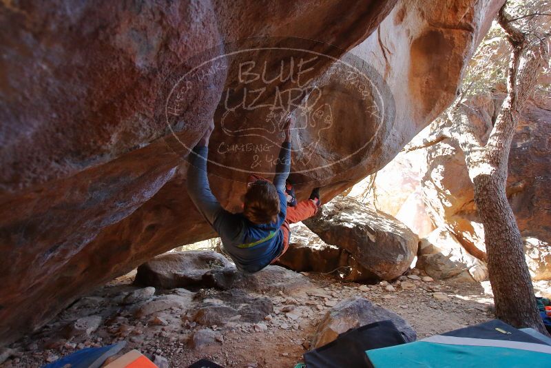 Bouldering in Hueco Tanks on 12/29/2019 with Blue Lizard Climbing and Yoga

Filename: SRM_20191229_1453180.jpg
Aperture: f/3.2
Shutter Speed: 1/250
Body: Canon EOS-1D Mark II
Lens: Canon EF 16-35mm f/2.8 L