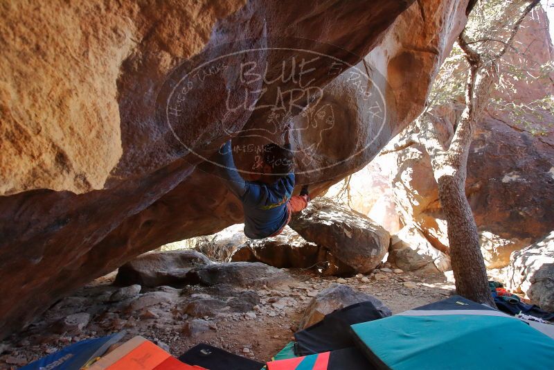 Bouldering in Hueco Tanks on 12/29/2019 with Blue Lizard Climbing and Yoga

Filename: SRM_20191229_1453200.jpg
Aperture: f/3.5
Shutter Speed: 1/250
Body: Canon EOS-1D Mark II
Lens: Canon EF 16-35mm f/2.8 L