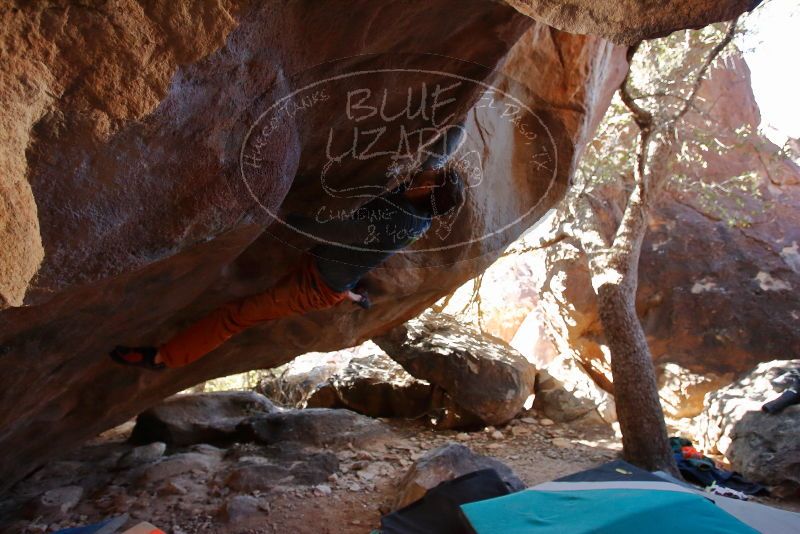 Bouldering in Hueco Tanks on 12/29/2019 with Blue Lizard Climbing and Yoga

Filename: SRM_20191229_1453240.jpg
Aperture: f/4.0
Shutter Speed: 1/250
Body: Canon EOS-1D Mark II
Lens: Canon EF 16-35mm f/2.8 L