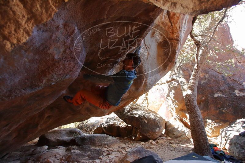 Bouldering in Hueco Tanks on 12/29/2019 with Blue Lizard Climbing and Yoga

Filename: SRM_20191229_1453250.jpg
Aperture: f/3.5
Shutter Speed: 1/250
Body: Canon EOS-1D Mark II
Lens: Canon EF 16-35mm f/2.8 L