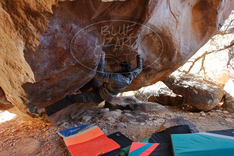 Bouldering in Hueco Tanks on 12/29/2019 with Blue Lizard Climbing and Yoga

Filename: SRM_20191229_1454300.jpg
Aperture: f/3.2
Shutter Speed: 1/250
Body: Canon EOS-1D Mark II
Lens: Canon EF 16-35mm f/2.8 L