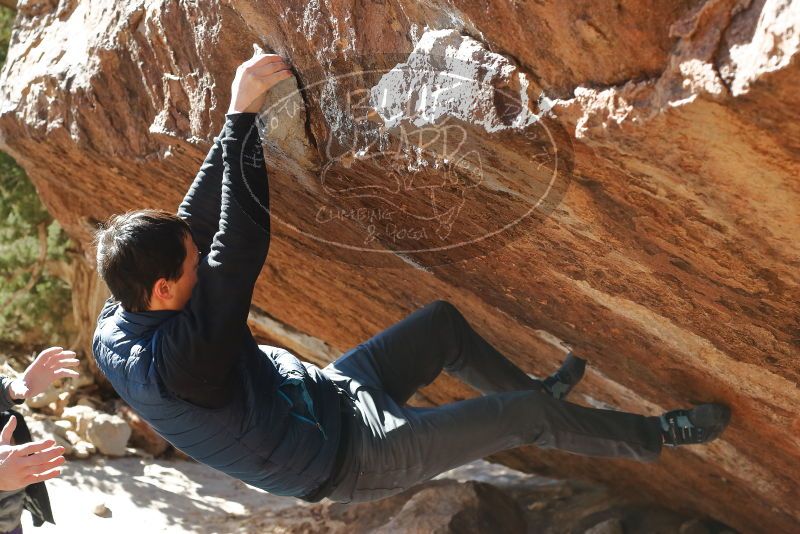 Bouldering in Hueco Tanks on 12/29/2019 with Blue Lizard Climbing and Yoga

Filename: SRM_20191229_1528140.jpg
Aperture: f/5.6
Shutter Speed: 1/320
Body: Canon EOS-1D Mark II
Lens: Canon EF 50mm f/1.8 II