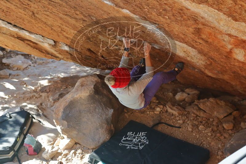 Bouldering in Hueco Tanks on 12/29/2019 with Blue Lizard Climbing and Yoga

Filename: SRM_20191229_1539410.jpg
Aperture: f/4.0
Shutter Speed: 1/400
Body: Canon EOS-1D Mark II
Lens: Canon EF 50mm f/1.8 II