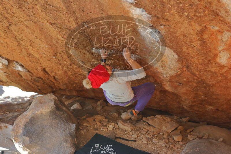 Bouldering in Hueco Tanks on 12/29/2019 with Blue Lizard Climbing and Yoga

Filename: SRM_20191229_1543300.jpg
Aperture: f/3.5
Shutter Speed: 1/400
Body: Canon EOS-1D Mark II
Lens: Canon EF 50mm f/1.8 II