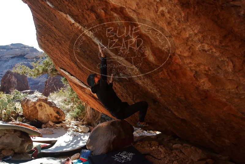 Bouldering in Hueco Tanks on 12/29/2019 with Blue Lizard Climbing and Yoga

Filename: SRM_20191229_1556510.jpg
Aperture: f/5.6
Shutter Speed: 1/320
Body: Canon EOS-1D Mark II
Lens: Canon EF 16-35mm f/2.8 L