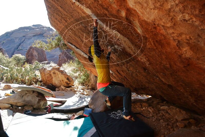 Bouldering in Hueco Tanks on 12/29/2019 with Blue Lizard Climbing and Yoga

Filename: SRM_20191229_1557302.jpg
Aperture: f/5.0
Shutter Speed: 1/320
Body: Canon EOS-1D Mark II
Lens: Canon EF 16-35mm f/2.8 L