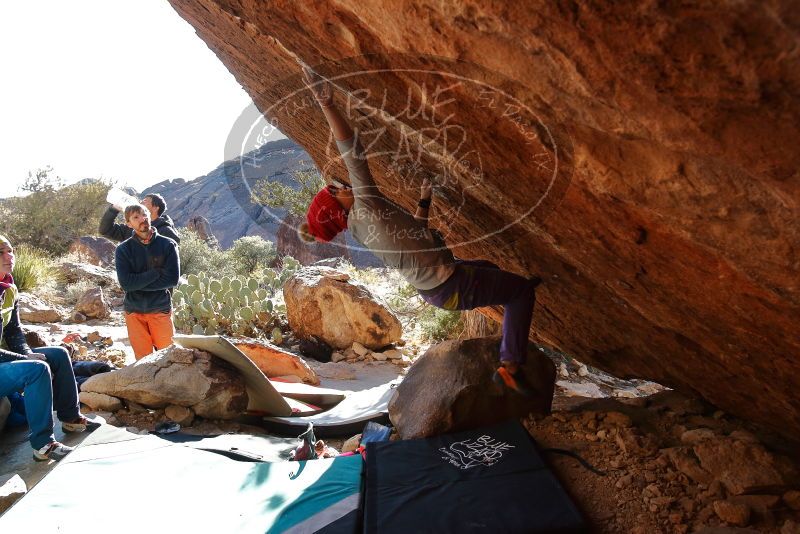Bouldering in Hueco Tanks on 12/29/2019 with Blue Lizard Climbing and Yoga

Filename: SRM_20191229_1559180.jpg
Aperture: f/5.0
Shutter Speed: 1/320
Body: Canon EOS-1D Mark II
Lens: Canon EF 16-35mm f/2.8 L