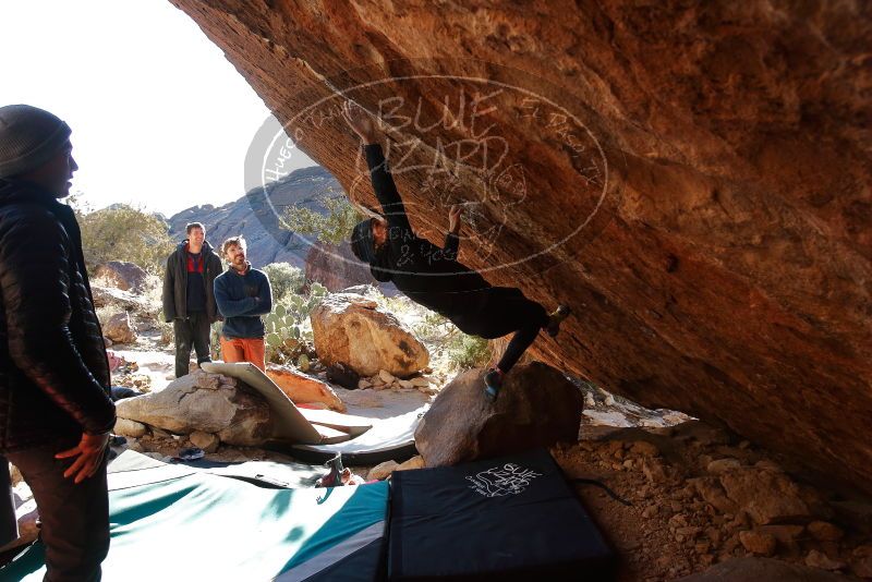 Bouldering in Hueco Tanks on 12/29/2019 with Blue Lizard Climbing and Yoga

Filename: SRM_20191229_1559560.jpg
Aperture: f/5.0
Shutter Speed: 1/320
Body: Canon EOS-1D Mark II
Lens: Canon EF 16-35mm f/2.8 L