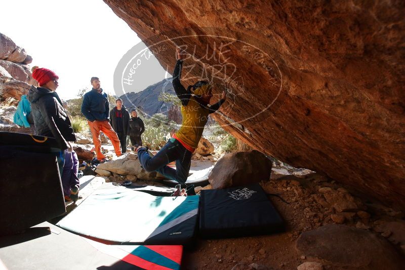 Bouldering in Hueco Tanks on 12/29/2019 with Blue Lizard Climbing and Yoga

Filename: SRM_20191229_1600374.jpg
Aperture: f/5.0
Shutter Speed: 1/320
Body: Canon EOS-1D Mark II
Lens: Canon EF 16-35mm f/2.8 L