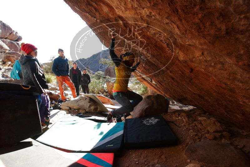Bouldering in Hueco Tanks on 12/29/2019 with Blue Lizard Climbing and Yoga

Filename: SRM_20191229_1600381.jpg
Aperture: f/5.0
Shutter Speed: 1/320
Body: Canon EOS-1D Mark II
Lens: Canon EF 16-35mm f/2.8 L