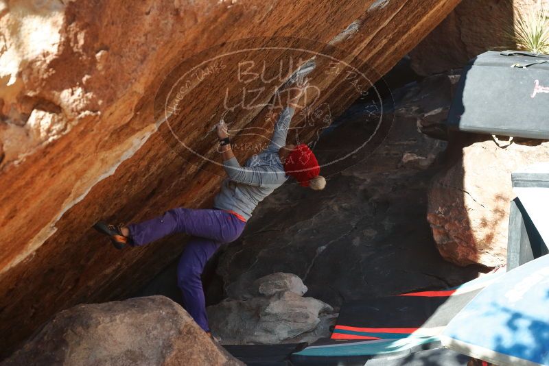 Bouldering in Hueco Tanks on 12/29/2019 with Blue Lizard Climbing and Yoga

Filename: SRM_20191229_1611560.jpg
Aperture: f/5.6
Shutter Speed: 1/320
Body: Canon EOS-1D Mark II
Lens: Canon EF 50mm f/1.8 II