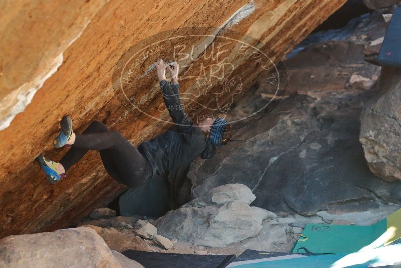 Bouldering in Hueco Tanks on 12/29/2019 with Blue Lizard Climbing and Yoga

Filename: SRM_20191229_1638310.jpg
Aperture: f/3.5
Shutter Speed: 1/320
Body: Canon EOS-1D Mark II
Lens: Canon EF 50mm f/1.8 II
