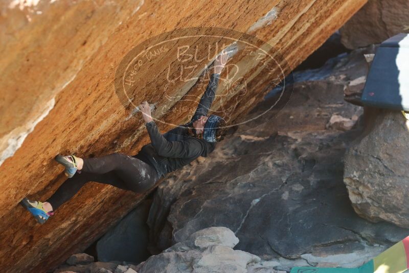Bouldering in Hueco Tanks on 12/29/2019 with Blue Lizard Climbing and Yoga

Filename: SRM_20191229_1639480.jpg
Aperture: f/3.5
Shutter Speed: 1/320
Body: Canon EOS-1D Mark II
Lens: Canon EF 50mm f/1.8 II