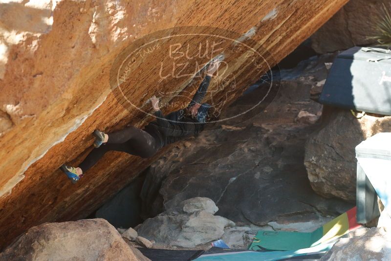 Bouldering in Hueco Tanks on 12/29/2019 with Blue Lizard Climbing and Yoga

Filename: SRM_20191229_1642320.jpg
Aperture: f/4.0
Shutter Speed: 1/320
Body: Canon EOS-1D Mark II
Lens: Canon EF 50mm f/1.8 II