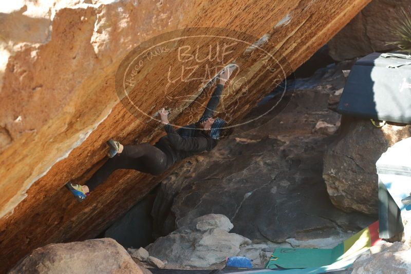 Bouldering in Hueco Tanks on 12/29/2019 with Blue Lizard Climbing and Yoga

Filename: SRM_20191229_1644580.jpg
Aperture: f/4.0
Shutter Speed: 1/320
Body: Canon EOS-1D Mark II
Lens: Canon EF 50mm f/1.8 II