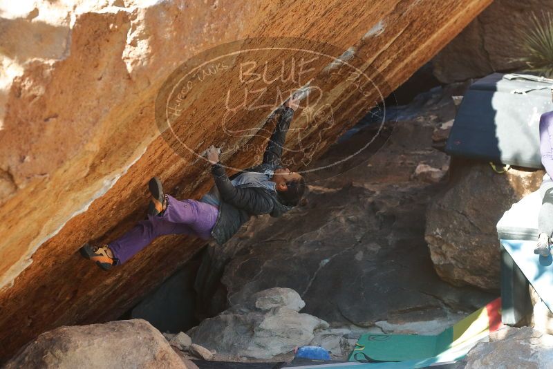 Bouldering in Hueco Tanks on 12/29/2019 with Blue Lizard Climbing and Yoga

Filename: SRM_20191229_1646270.jpg
Aperture: f/4.5
Shutter Speed: 1/320
Body: Canon EOS-1D Mark II
Lens: Canon EF 50mm f/1.8 II