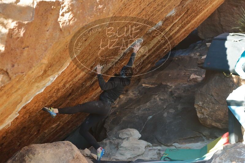 Bouldering in Hueco Tanks on 12/29/2019 with Blue Lizard Climbing and Yoga

Filename: SRM_20191229_1648520.jpg
Aperture: f/4.0
Shutter Speed: 1/320
Body: Canon EOS-1D Mark II
Lens: Canon EF 50mm f/1.8 II