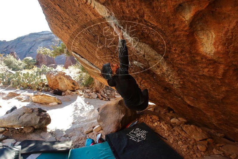 Bouldering in Hueco Tanks on 12/29/2019 with Blue Lizard Climbing and Yoga

Filename: SRM_20191229_1651180.jpg
Aperture: f/5.0
Shutter Speed: 1/320
Body: Canon EOS-1D Mark II
Lens: Canon EF 16-35mm f/2.8 L