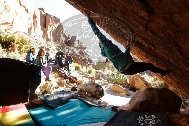Bouldering in Hueco Tanks on 12/29/2019 with Blue Lizard Climbing and Yoga

Filename: SRM_20191229_1653150.jpg
Aperture: f/5.0
Shutter Speed: 1/320
Body: Canon EOS-1D Mark II
Lens: Canon EF 16-35mm f/2.8 L